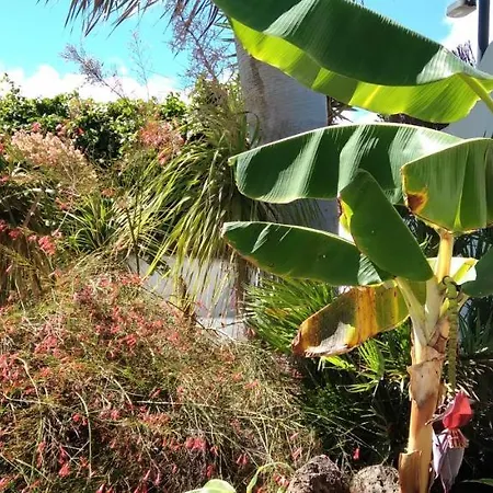 公寓 Botanico Garden Guatiza