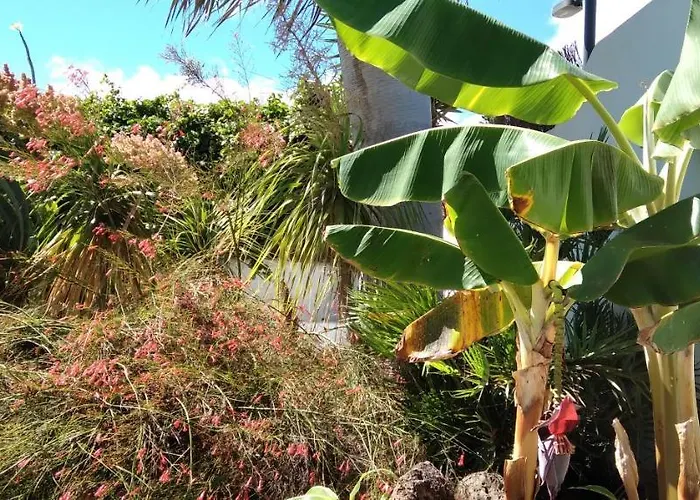 아파트 Botanico Garden Guatiza