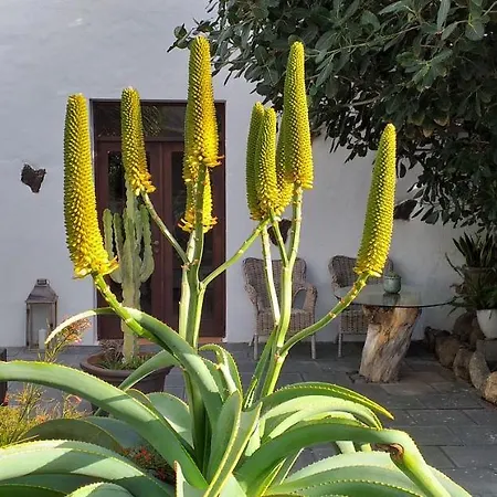 Botanico Garden Guatiza