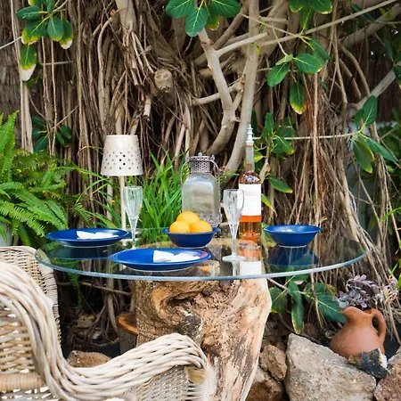 Botanico Garden Daire Guatiza