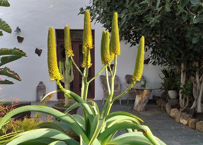 Botanico Garden Guatiza