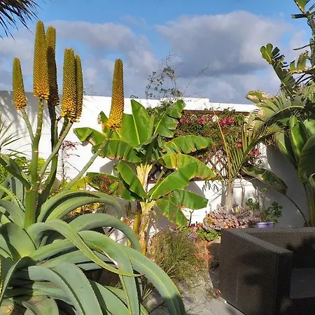 公寓 Botanico Garden