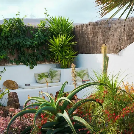 Botanico Lejlighed